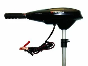 Lodní elektromotor